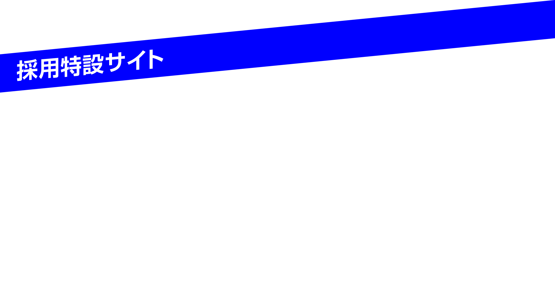 採用特設サイト